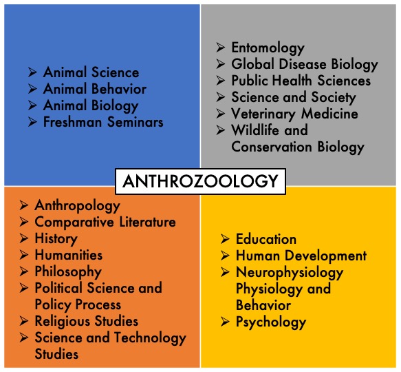 WAG Anthrozoology Disciplinary Areas Diagram